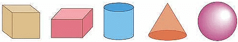 Worksheet: What is Long, What is Round? | Mathematics for Class 2: NCERT
