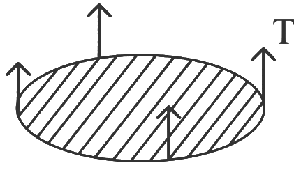 NEET Previous Year Questions (2014-2024): Mechanical Properties of Solids | Physics Class 11