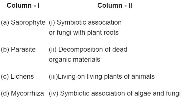 NEET Previous Year Questions (2016-2024): Organisms & Populations | Biology Class 12