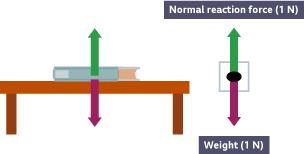 Force Diagrams And Resultant Forces - Year 7 Pdf Download