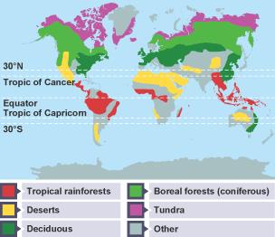 Global Biomes - Year 7 Pdf Download