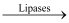 NCERT Solutions: Digestion & Absorption - Notes | Study Biology Class 11 - NEET