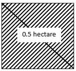 RS Aggarwal Solutions: Perimeter and Area of Plane Figures- 2 | RS Aggarwal Solutions for Class 10 Mathematics