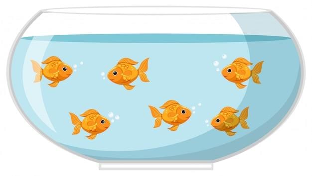 Premium Vector | Six goldfish in the bowl