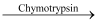 NCERT Solutions: Digestion & Absorption - Notes | Study Biology Class 11 - NEET
