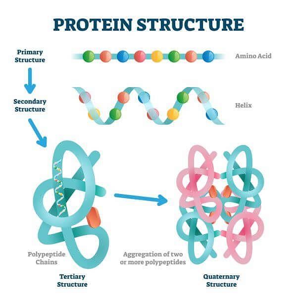 Important Notes for NEET: Biomolecules Notes | Study Biology Class 11 - NEET