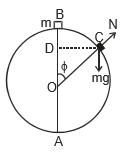 Introduction to Work and Work Energy Theorem | Physics Class 11 - NEET