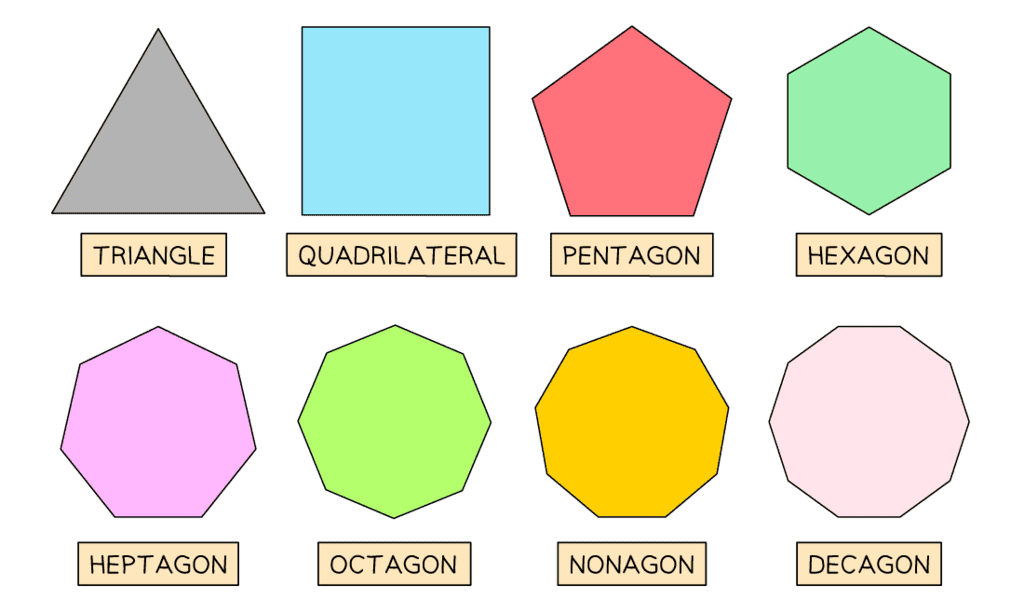 2D Shapes - Year 11 PDF Download