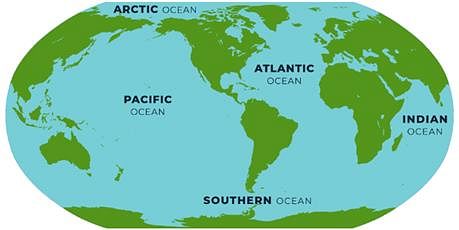 is the largest ocean in the world.a)Indian Oceanb)Atlantic Oceanc ...