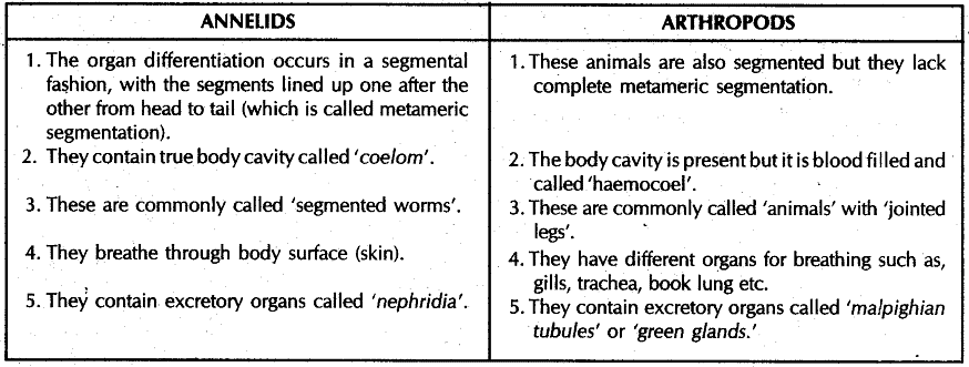 Diversity in living organisms Notes - Class 9