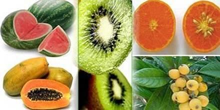 Parthenocarpy and Parthenocarpic Fruits - QS Study
