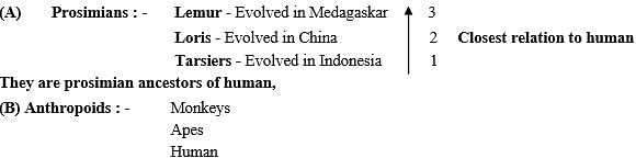 Origin & Evolution of Man Notes | Study Biology Class 12 - NEET
