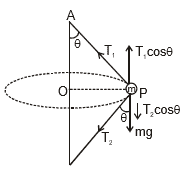 Circular Motion, Chapter Notes, Class 11, Physics (IIT-JEE & AIPMT)
